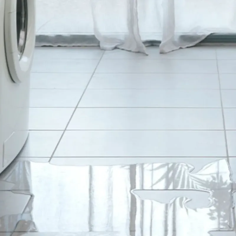 Appliance Leak Cleanup in Belton, SC