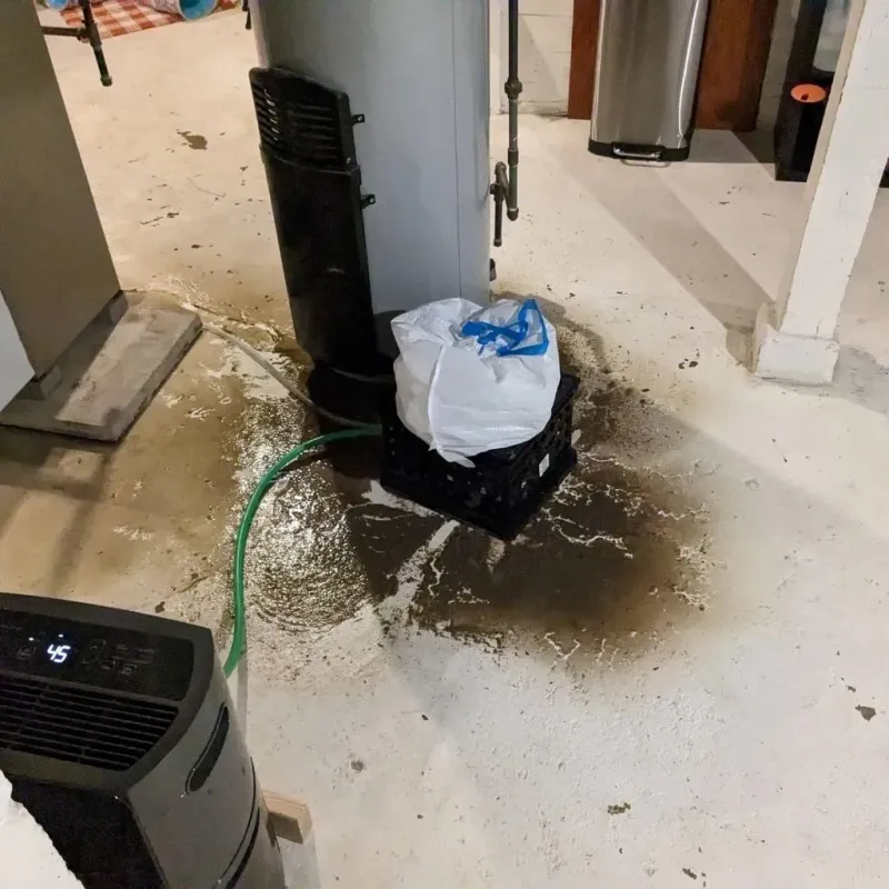 Sewage Backup Cleanup Service in Belton, SC
